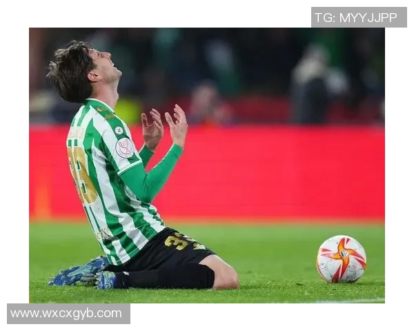 西班牙足球明星华金的辉煌职业生涯与传奇故事回顾